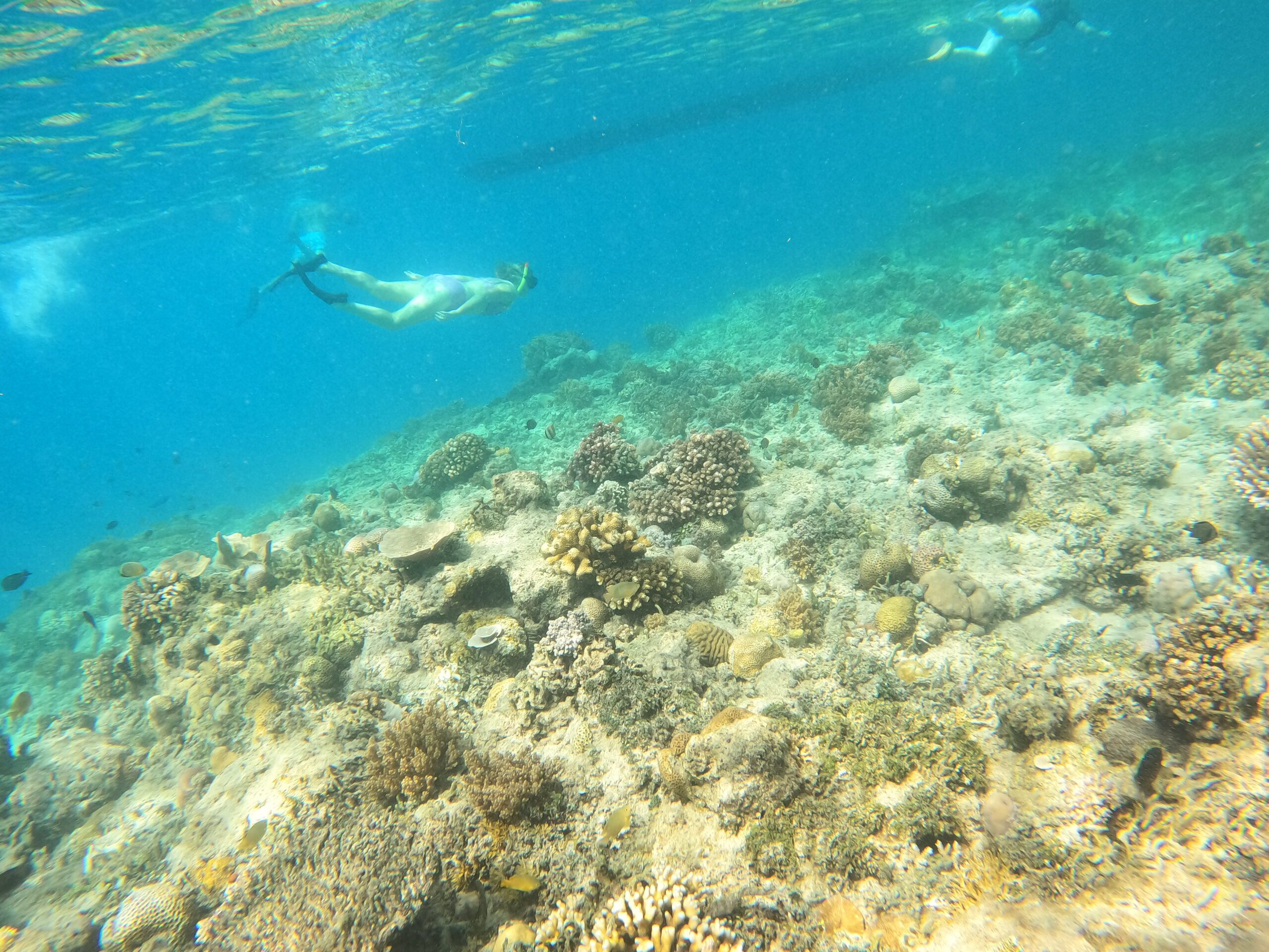 gili meno swimming area