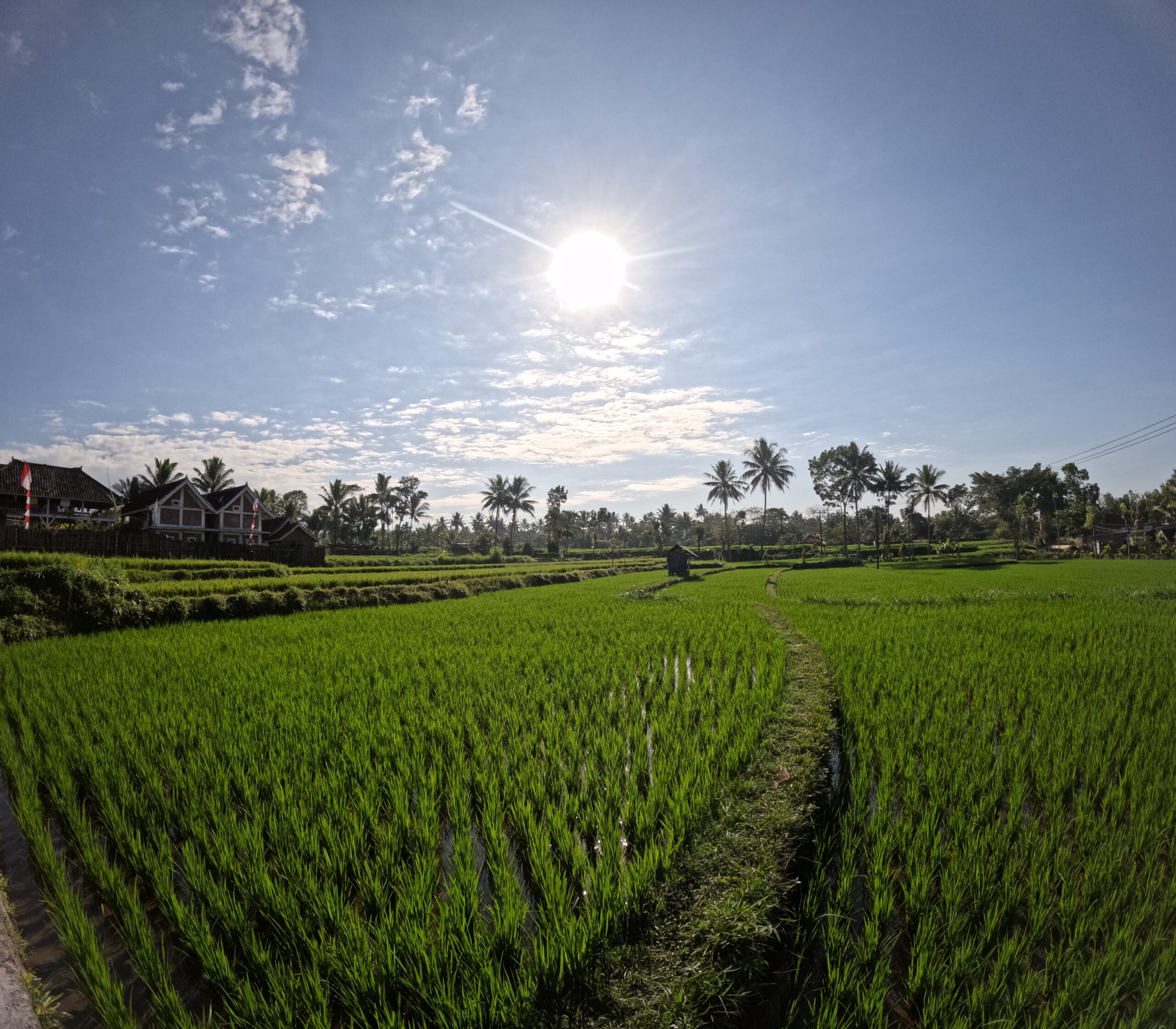 lombok