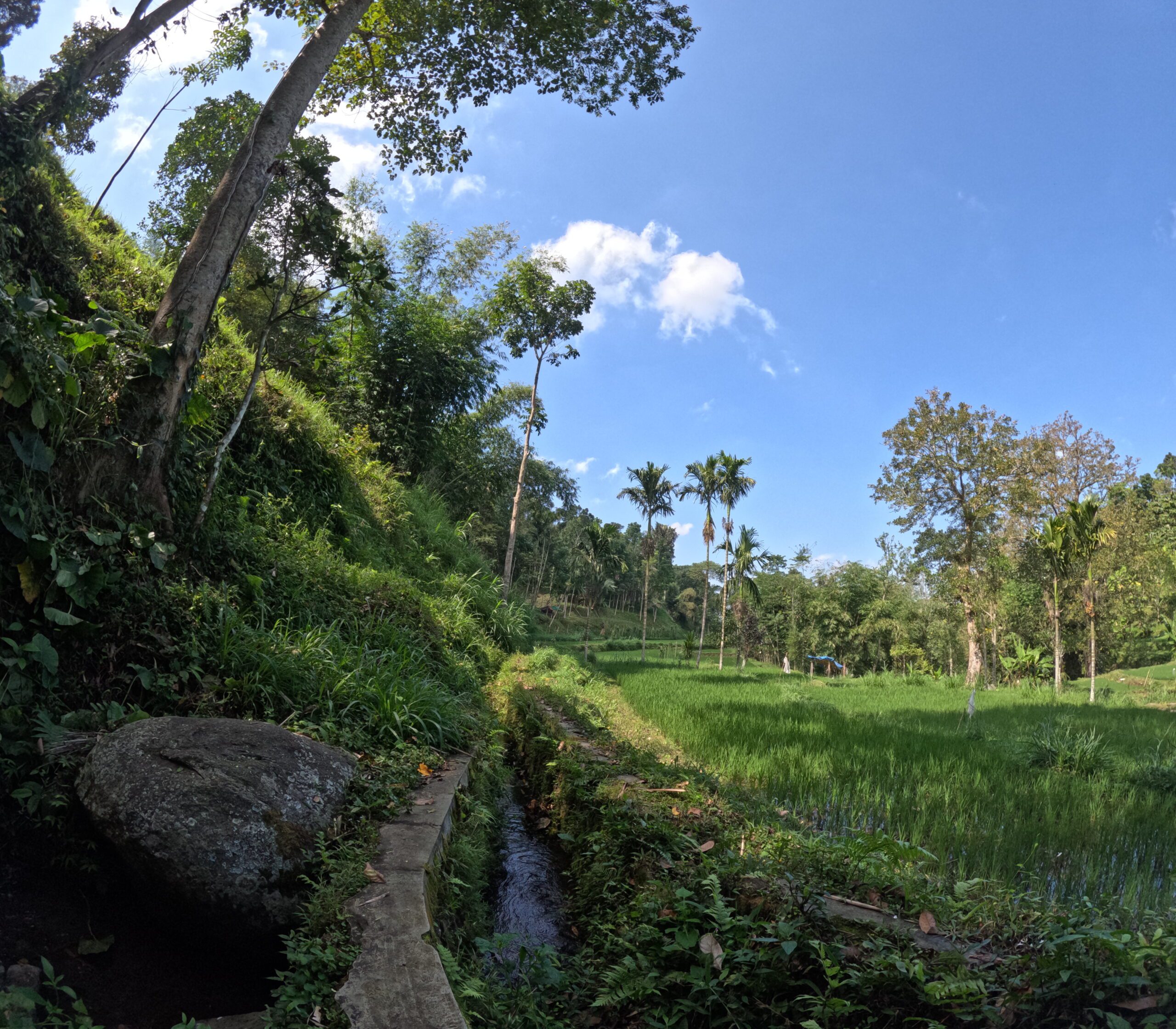 lombok